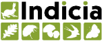 "http://www.indicia.org.uk"