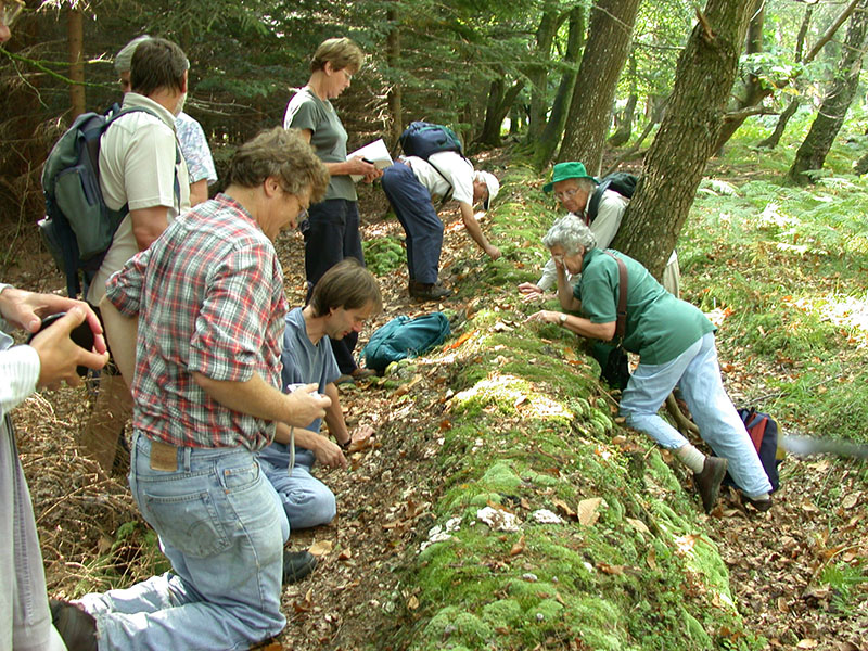 Groups